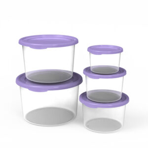 Nice Container 5 pc set