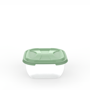 Sienna Container 4.2