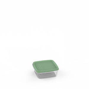 Vigo Container 0.25