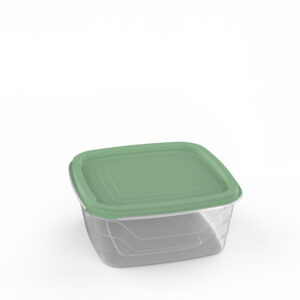 Vigo Container 2.1